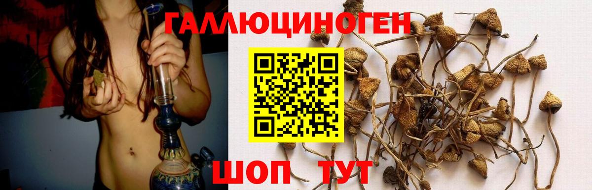 Псилоцибиновые грибы GOLDEN TEACHER  Галлюциногенные грибы мицелий  Ростов-на-Дону  Вход с VPN 